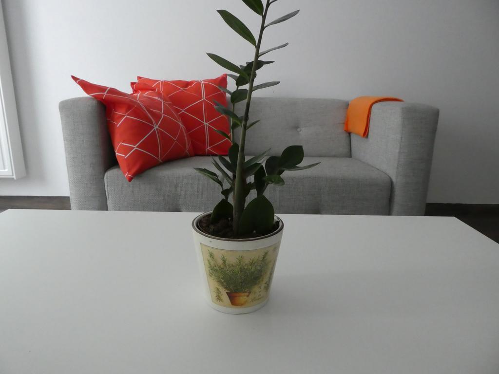 Cube Apartamenty Lublin Buitenkant foto